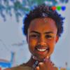 sakariyecaynanshe