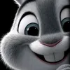 dc_phineas