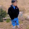 miandam4