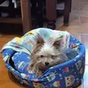 noramontoto