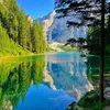 cessygirl_08
