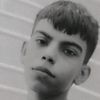 alsh_209