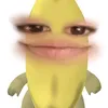 shahshashjaa