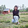 bichnhungdinhduong