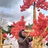 acil_kanahterapi