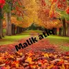 user856581850