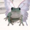 flyfrog2000