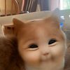 aepcatgirl