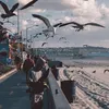 beautiful_scenery_9