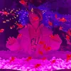 privateaccount2931