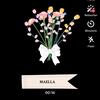 maella25