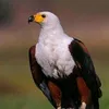 userq3kzdk4x0w