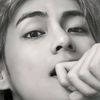 queenrose_001