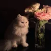 loo_1175