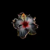 pardinha_anemica