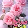 user1h6tyqlips