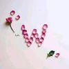 widodakh3