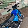 roinel263ff