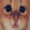 user0590101211