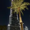 dubai_lifeee