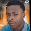 did_500_official