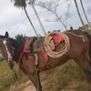 cassianoqueiroz30