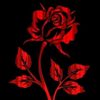 sulmisoraida