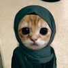 itz_mee_tasu