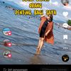 insa4077691725274