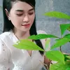 ambi.m.1