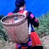 koj yog kuv lub plawv dhia