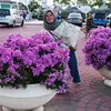 suska.djalil