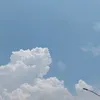 selangitsenja_