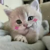 hnt_luv09