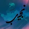 nadjib_badla