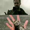 kdsxss8