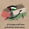 ahmedehab7829