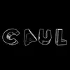 caulbs.fst