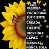mendoza2023.30