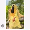 sumiyahossain52