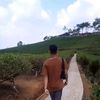arifarif0635