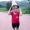 tran_noi6688
