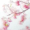 mimiy.0904