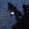 rainfullsounds