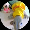 ludiflix29