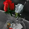 user1818347155116