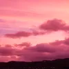 elvie_135