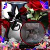 user3095194728713