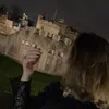intini76