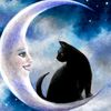 ladywillow27
